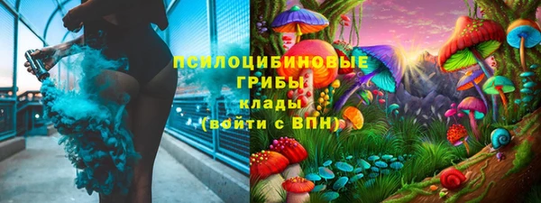 тгк Белокуриха