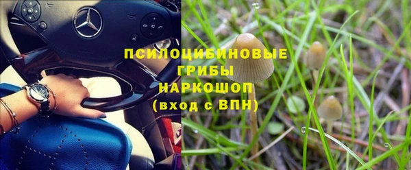 дурь Белоозёрский