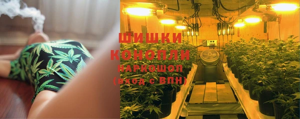тгк Белокуриха
