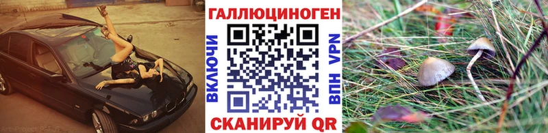 Псилоцибиновые грибы Cubensis Макаров